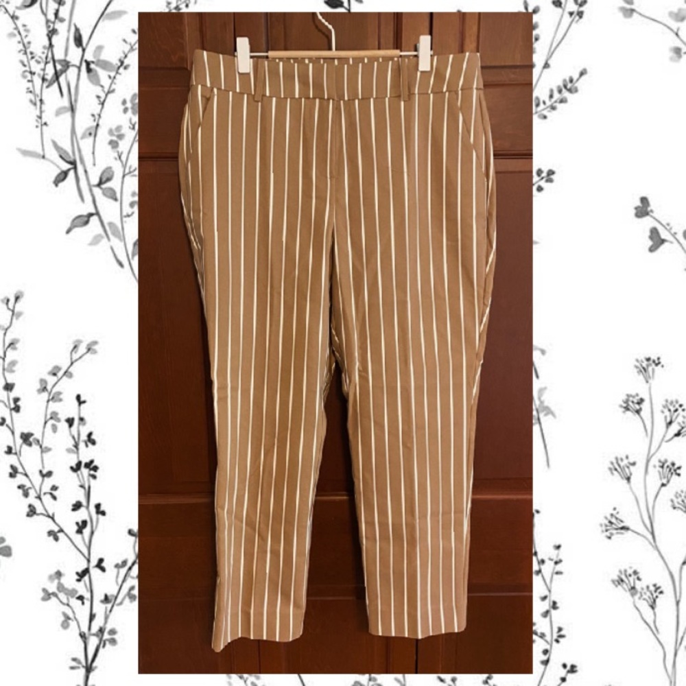 Boston Proper Pants
